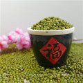 premier qualtiy Green Mung Beans pour la germination, MC, type 2016,